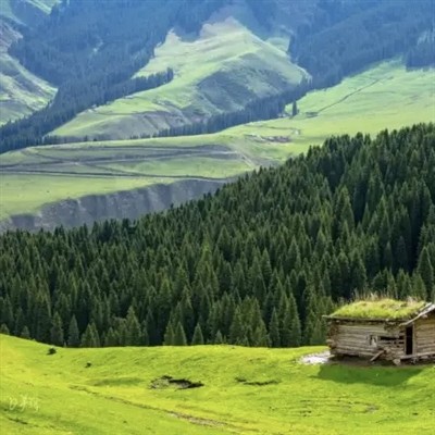 I 20 migliori campeggi in Cina, convenienti e ventilati! (Seconda parte)