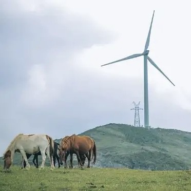 I 20 migliori campeggi in Cina, convenienti e ventilati! (Parte terza)